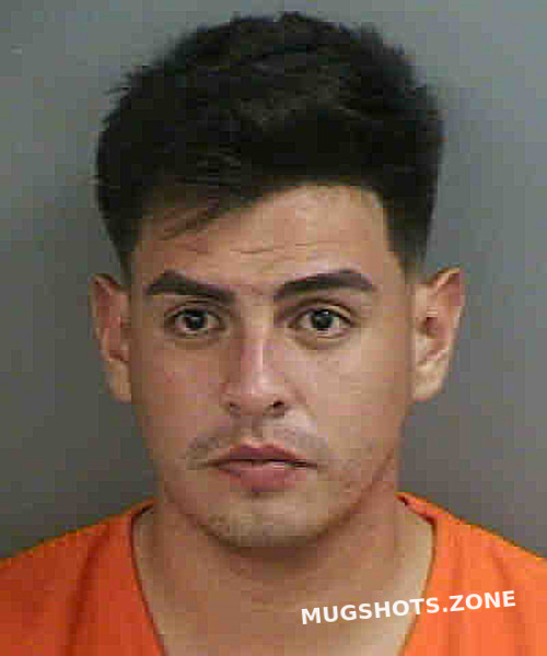 Sansuste Joao Sanchez 10 31 2022 Collier County Mugshots Zone