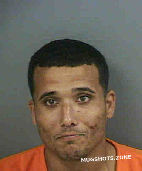 Reguera Alexander 11 15 2022 Collier County Mugshots Zone