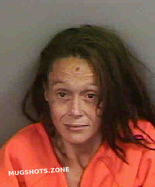 STORY ALEXIS ASHLEY 11/17/2022 Collier County Mugshots Zone