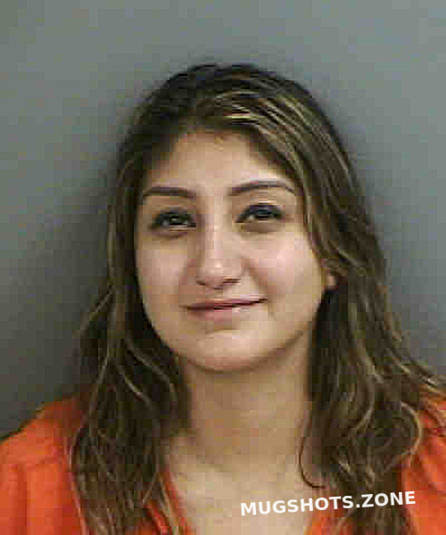 Hernandez Jennifer 11 24 2022 Collier County Mugshots Zone