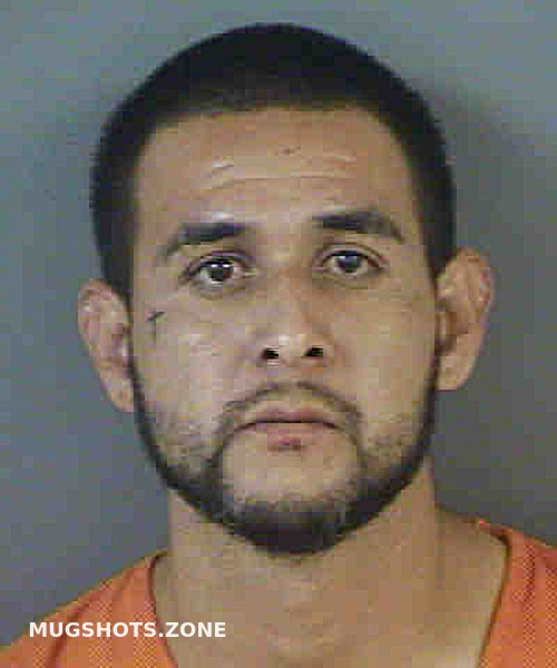 Rosales Andrew 11 29 2022 Collier County Mugshots Zone