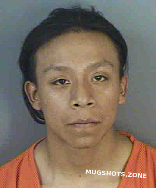 Ramirezmartin Magno Gregorio 12 18 2022 Collier County Mugshots Zone