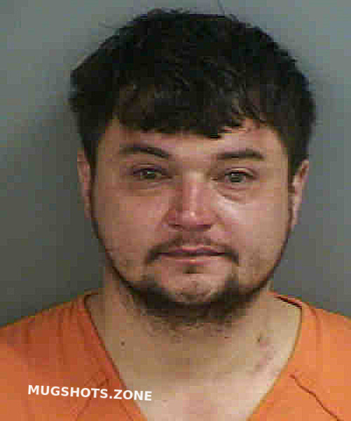 Lavrentyev David 03 10 2023 Collier County Mugshots Zone