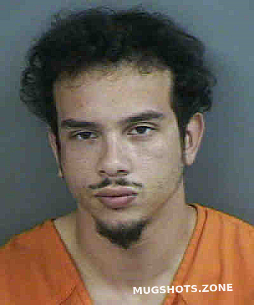 Gato Luvan 04062023 Collier County Mugshots Zone