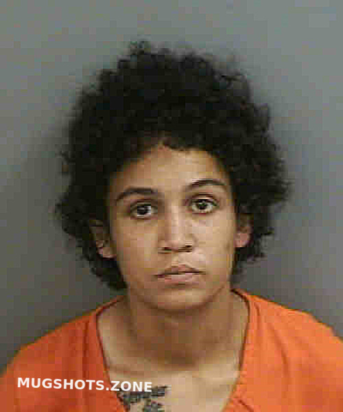 James Maniesha 04 17 2023 Collier County Mugshots Zone