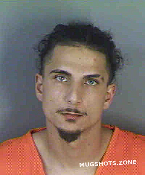 Stallone Michael 05 24 2023 Collier County Mugshots Zone