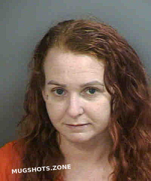 Carrier Heather Lynn 06142023 Collier County Mugshots Zone 