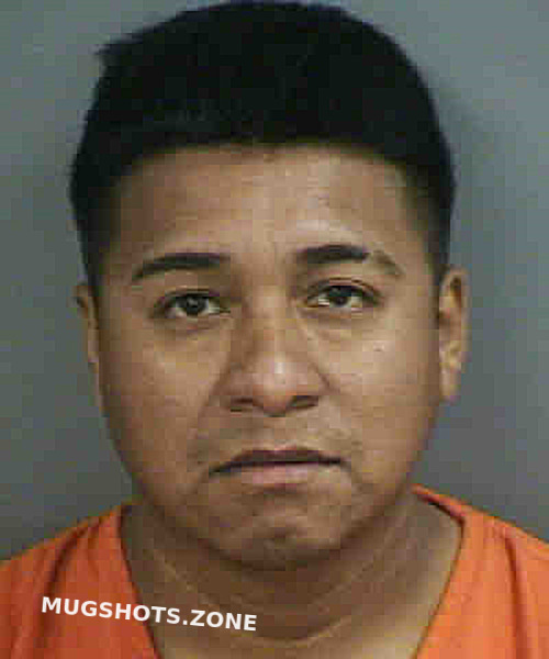 Alvarezabrego Eliazit 06 28 2023 Collier County Mugshots Zone