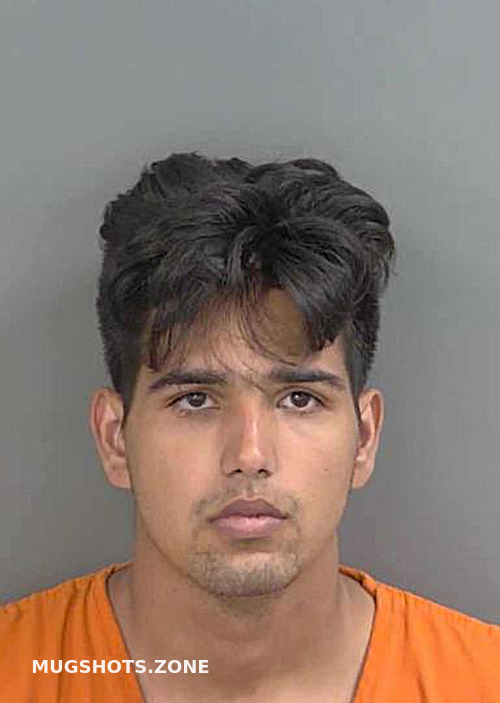 Banoscastillo Pedro Julio 10 05 2023 Collier County Mugshots Zone