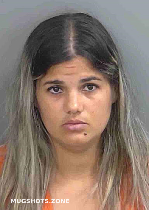 Pineromatamoros Aileana 10 06 2023 Collier County Mugshots Zone