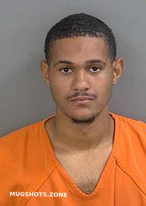 SCHALLER ANDREAS 10/17/2023 Collier County Mugshots Zone