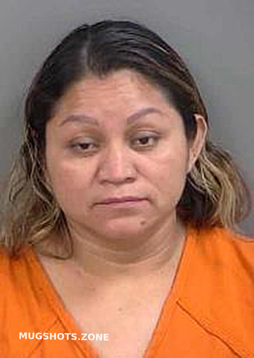 SONVELASQUEZ VIDALIA 12/13/2023 Collier County Mugshots Zone