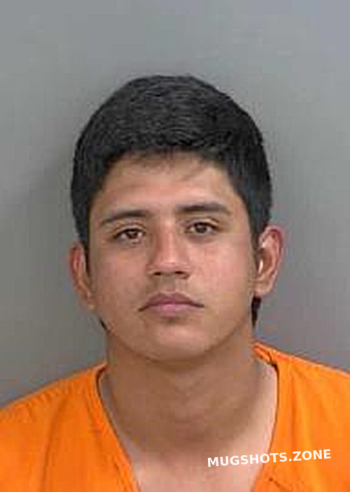 Rianocaballlero Sebastian 01 27 2024 Collier County Mugshots Zone