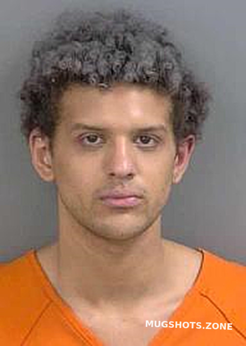 Mcnary Ethan Christian 02 05 2024 Collier County Mugshots Zone