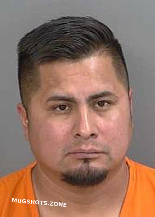 Gomezgonzalez Raul 04 29 2024 Collier County Mugshots Zone