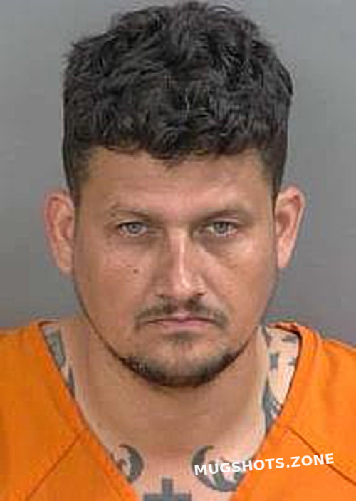 Gonzalez Danny 05072024 Collier County Mugshots Zone