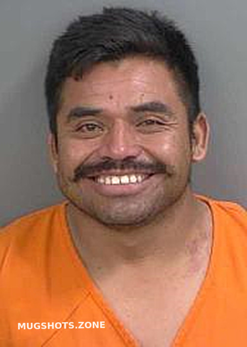 Lopezlopez Jeremias 05 17 2024 Collier County Mugshots Zone