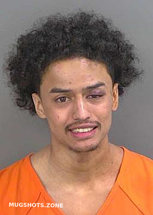 STEPHEN BRYAN 01/01/2025 Collier County Mugshots Zone