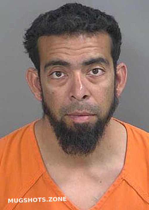 VALDES PEDRO 01/03/2025 Collier County Mugshots Zone