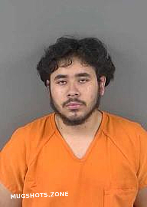 VALDERRAMA BRAULIO ANDRE 02/04/2025 Collier County Mugshots Zone