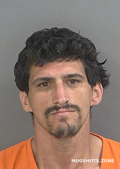 REYES ALFONSO 05/26/2025 Collier County Mugshots Zone