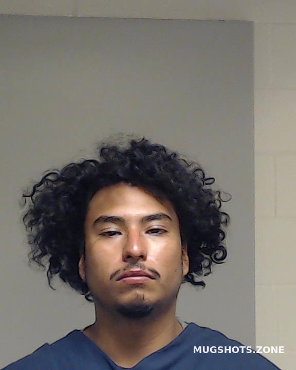 Mendoza Leon Jose Luis 03 30 2022 Collin County Mugshots Zone