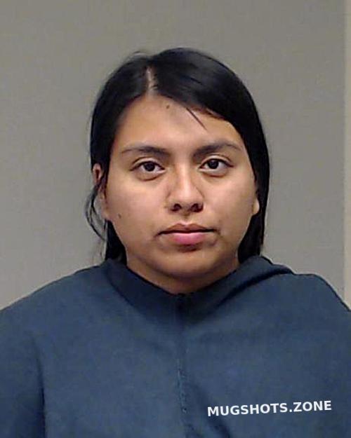 Hernandez Maria 01 14 2023 Collin County Mugshots Zone