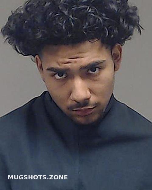 SOTO ROBERTO JR. 01/03/2024 - Collin County Mugshots Zone
