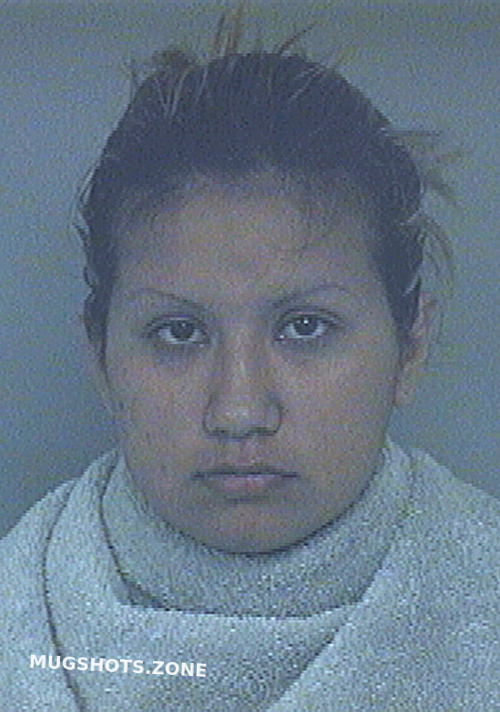 ARIAS ELIZABETH 03/25/2024 - Collin County Mugshots Zone