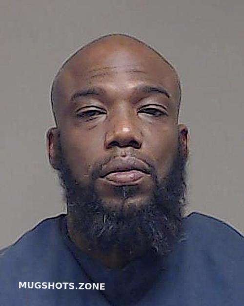 HAYNES CHRISTOPHER STANLEY 08/23/2024 - Collin County Mugshots Zone