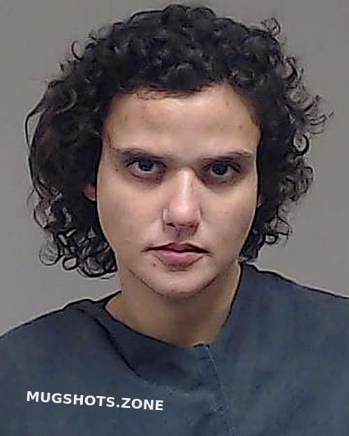 REEH RACHEL ANN 10/28/2024 - Collin County Mugshots Zone