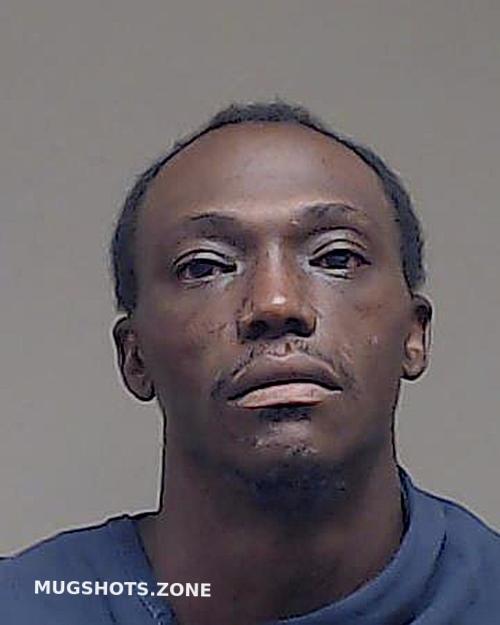 MICHAEL EDWARD R 11/05/2024 - Collin County Mugshots Zone