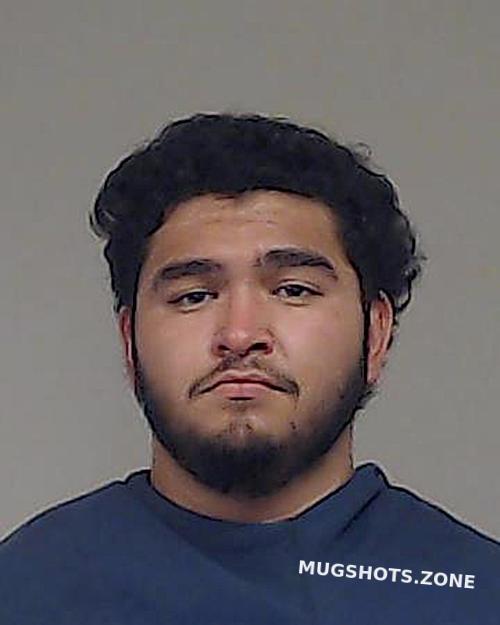 FERNANDEZ ANGEL 12/24/2024 Collin County Mugshots Zone
