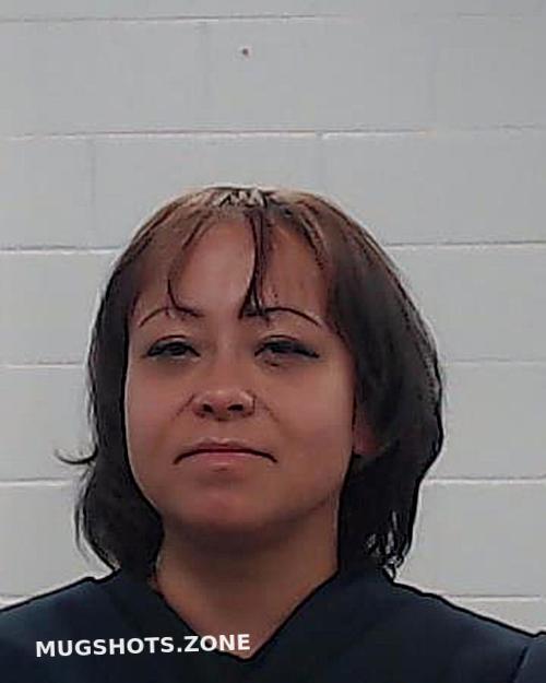 SCHUSTER JENNIFER FONTAINE 06/28/2025 - Collin County Mugshots Zone