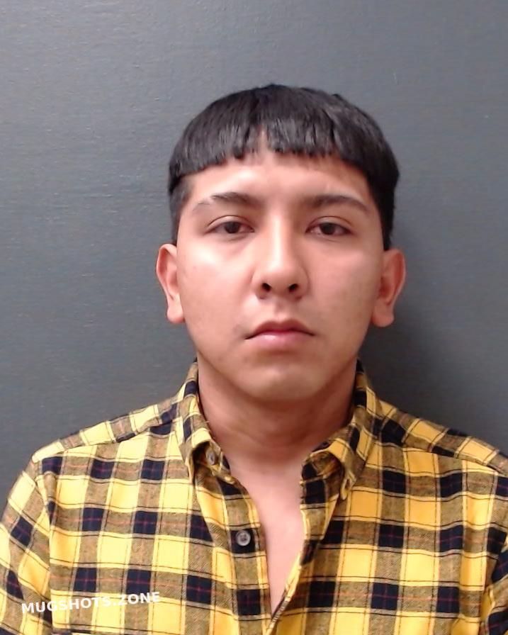 Rayas Axel 03 19 2023 Comal County Mugshots Zone