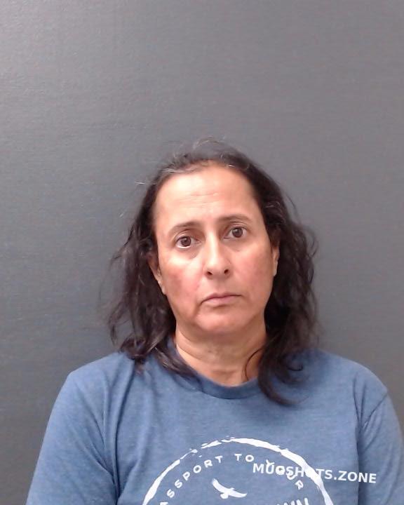 HERNANDEZ EVANGELINE ANN 07/24/2023 - Comal County Mugshots Zone