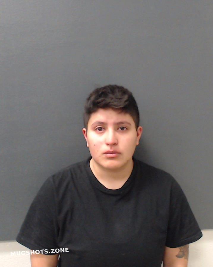 RAMIREZ TONI ARIANNA 11/07/2023 - Comal County Mugshots Zone