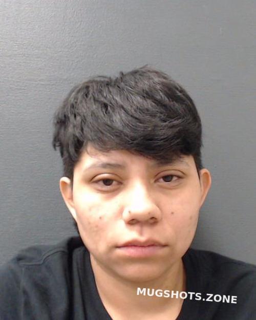 MARTINEZ SUZETTE 03/24/2024 - Comal County Mugshots Zone