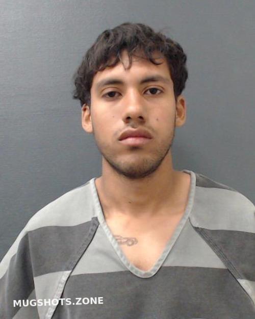 FERRER ORTEGA JOHAN LEVIS 03/30/2024 - Comal County Mugshots Zone