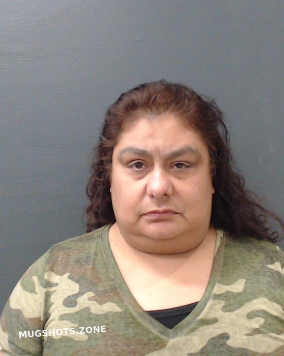 ALANIS ELSA MARIE 05/31/2024 - Comal County Mugshots Zone