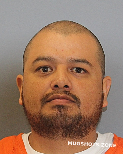 OLIVARESPORTALES RICARDO FAVIO 03/17/2023 Cooke County Mugshots Zone