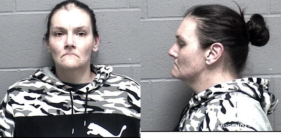 SHONE BRANDY LYNN 04/02/2024 - Crawford County Mugshots Zone