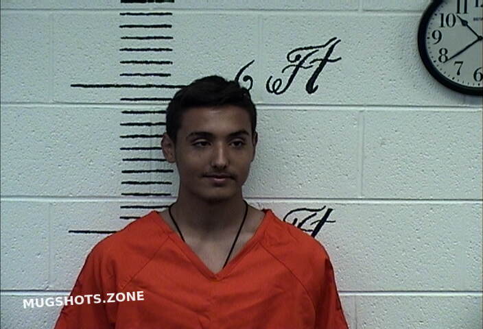 LUMLEY JUSTICE C 05/17/2022 - Crockett County Mugshots Zone