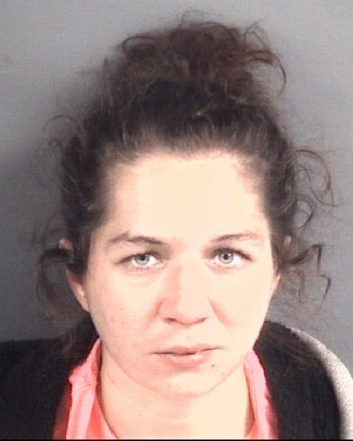 BREWINGTON AMANDA MICHELLE 03/14/2021 - Cumberland County Mugshots Zone