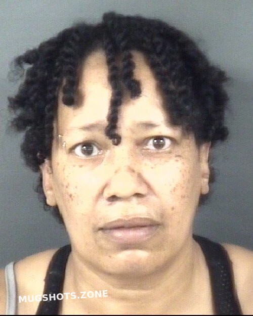 SYLVESTER HELEN SPINKS 11/12/2022 Cumberland County Mugshots Zone