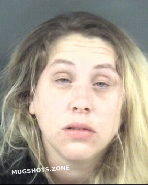 HUDSON NICOLE CHEYENE 11/14/2022 - Cumberland County Mugshots Zone