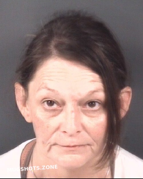 POKORNY JENNIFER RENEE 05/05/2023 Cumberland County Mugshots Zone