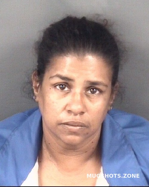 CEPEDA ANA LOUISA 09/26/2023 Cumberland County Mugshots Zone