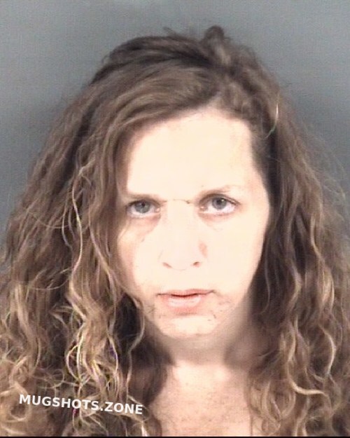 Tidd Melissa Sue 11 15 2023 Cumberland County Mugshots Zone