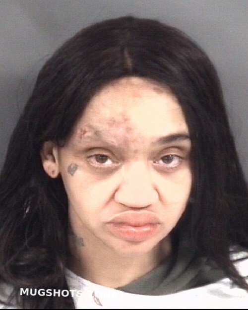 LOWERY BRITTANY NICOLE 01/28/2024 - Cumberland County Mugshots Zone